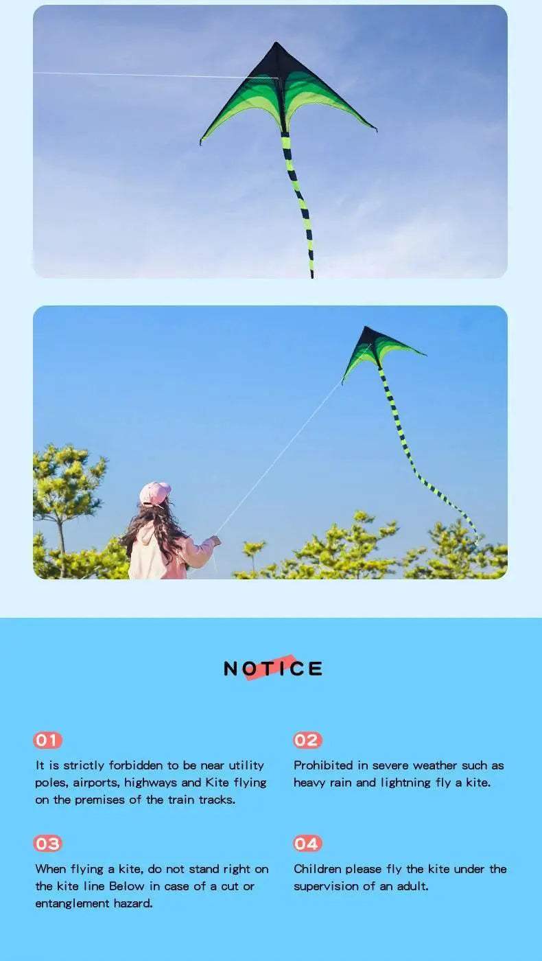  YongJian Large Delta Kite Easy to Fly for Kids and Adults -  ToylandEU™