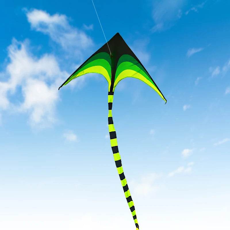 YongJian Large Delta Kite for Kids & Adults Easy to Fly - ToylandEU