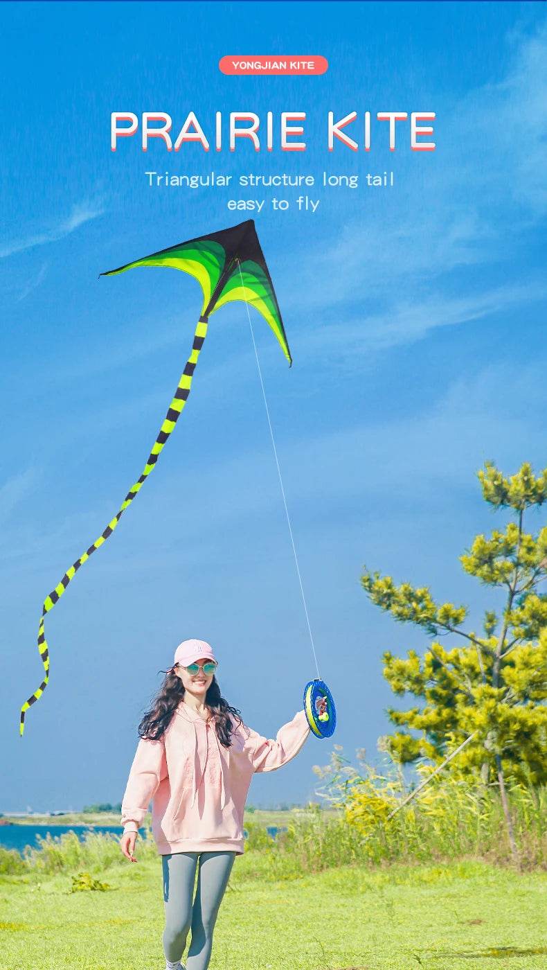 YongJian Large Delta Kite for Kids & Adults Easy to Fly - ToylandEU