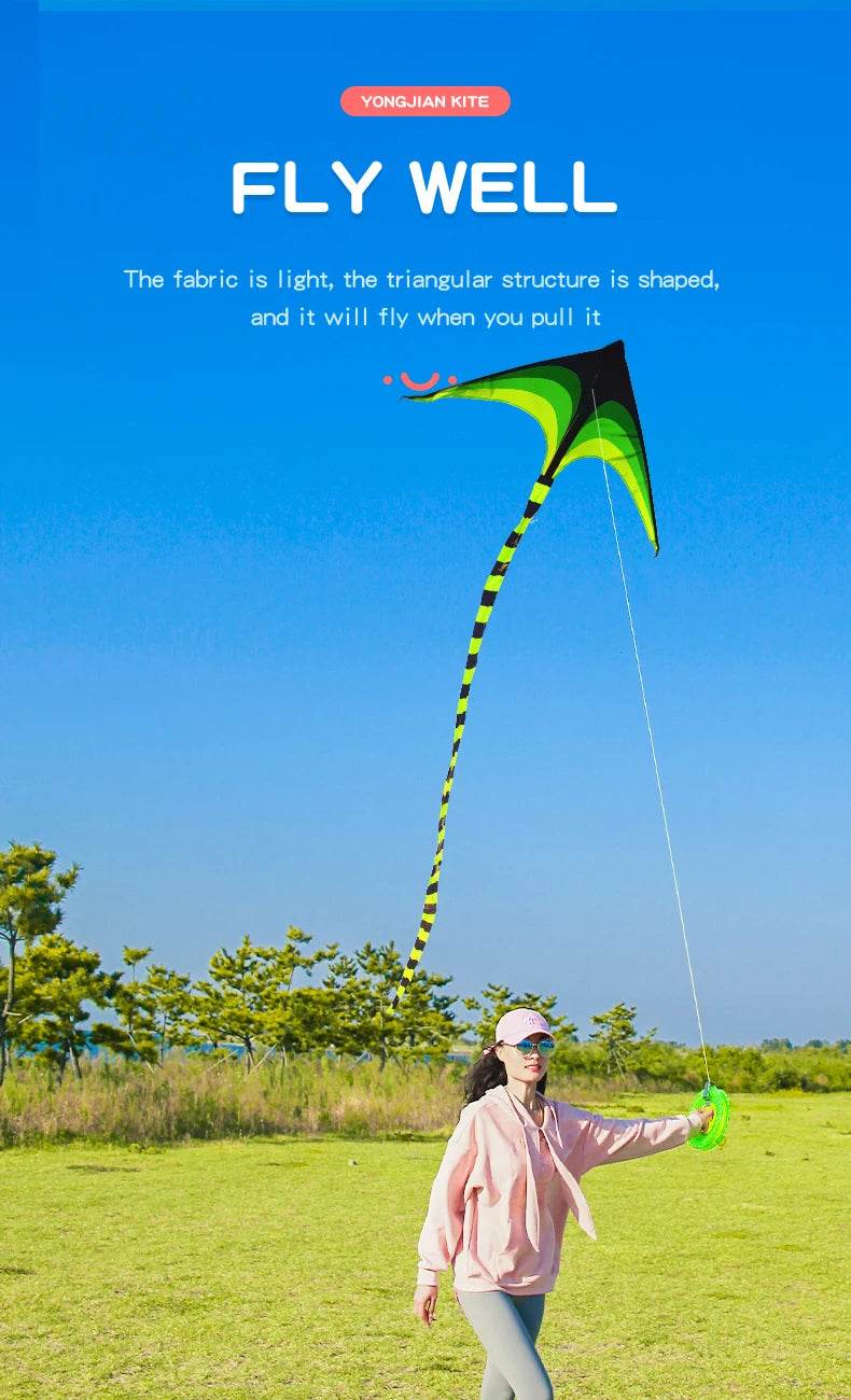 YongJian Large Delta Kite for Kids & Adults Easy to Fly - ToylandEU