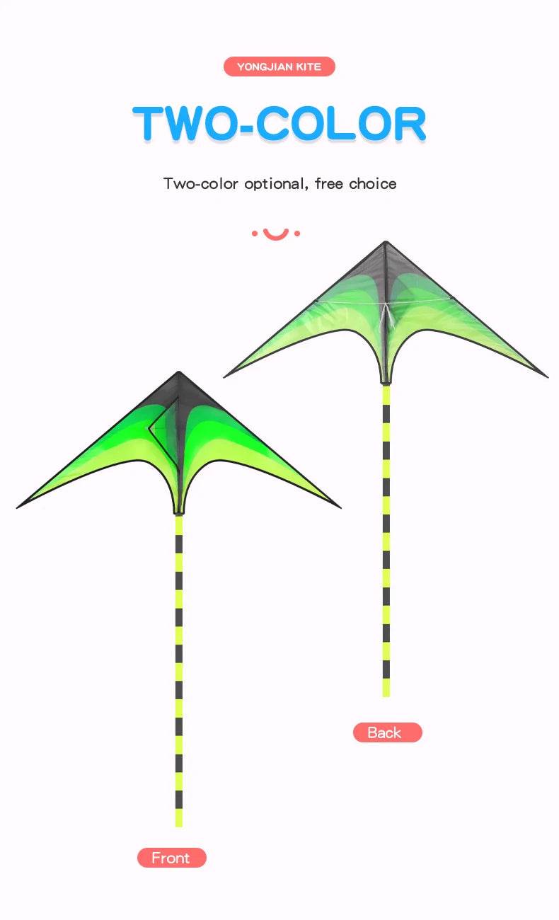 YongJian Large Delta Kite for Kids & Adults Easy to Fly - ToylandEU