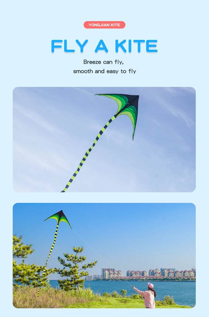 YongJian Large Delta Kite for Kids & Adults Easy to Fly - ToylandEU