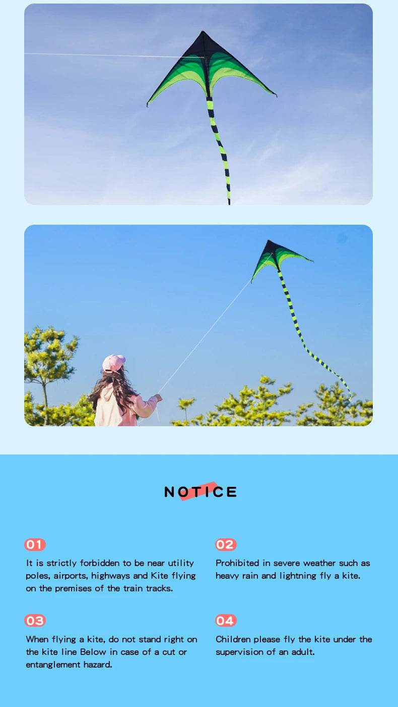 YongJian Large Delta Kite for Kids & Adults Easy to Fly - ToylandEU