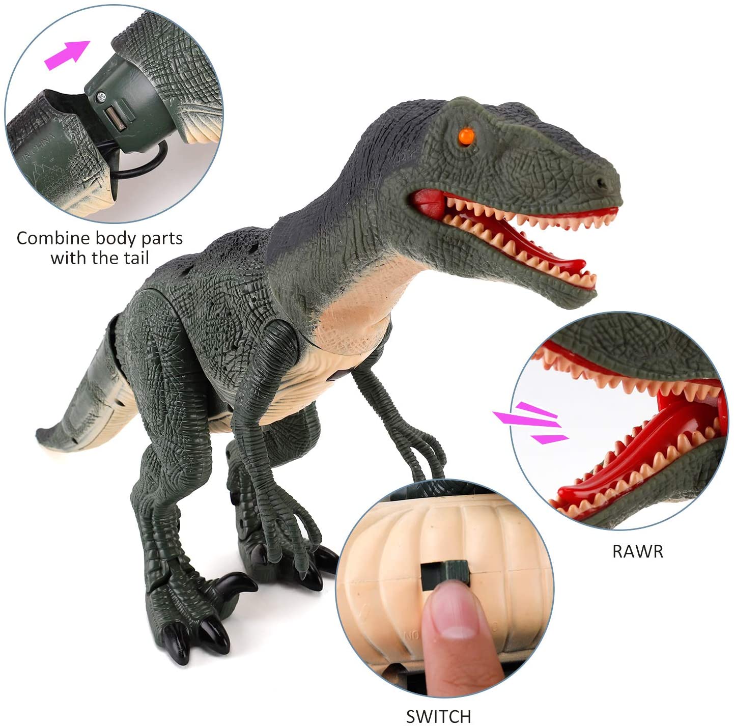 Walking Velociraptor Dinosaur Toy with Remote Control and Lights - ToylandEU