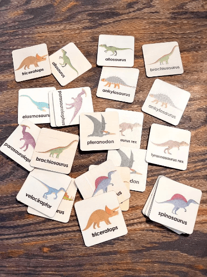 Memory Game Cards | Dinosaur Matching Pairs | Montessori Preschool Toys