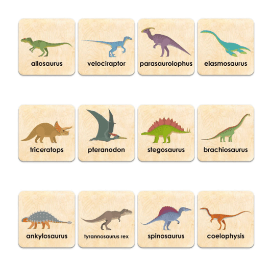 Memory Game Cards | Dinosaur Matching Pairs | Montessori Preschool Toys