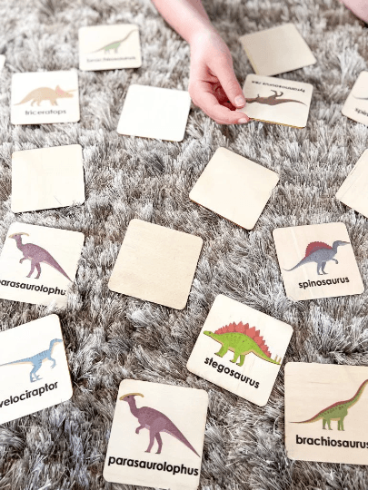 Memory Game Cards | Dinosaur Matching Pairs | Montessori Preschool Toys