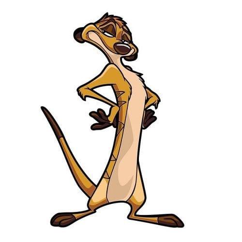 FiGPiN Enamel Pin Lion King Mufasa Collectible Display Case - ToylandEU