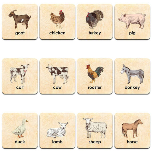 Montessori Memory Game | Farm Animals With Labels | Matching Cards For Kids