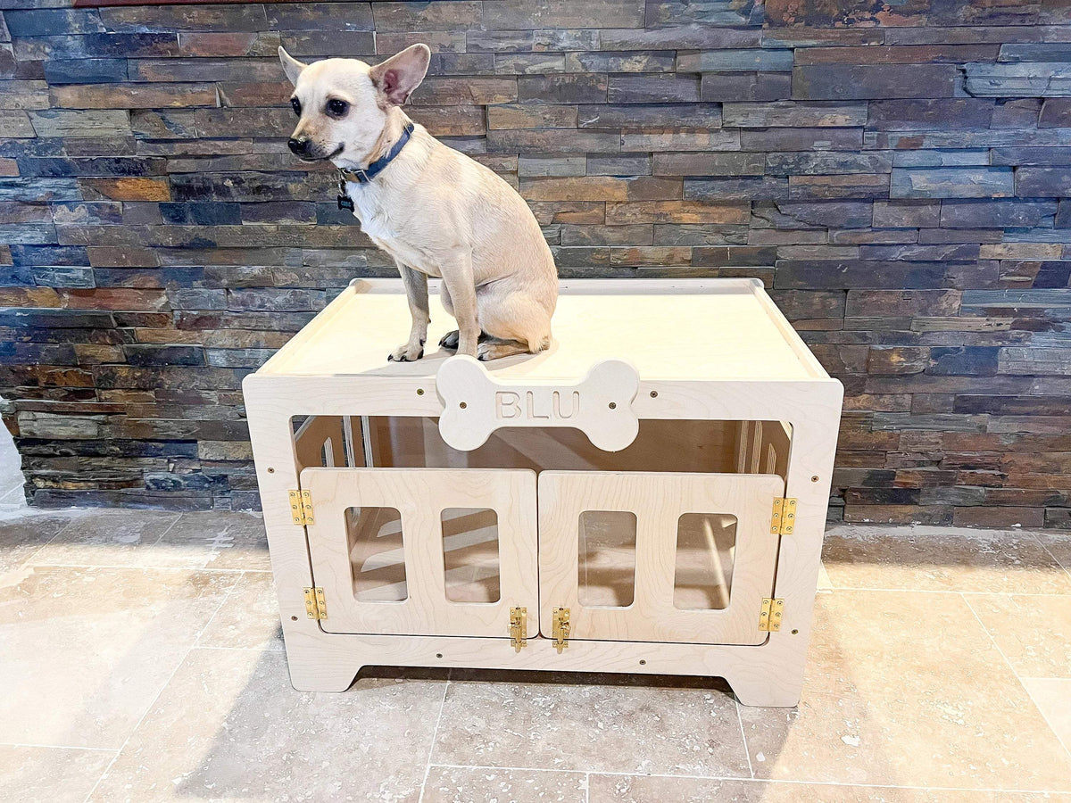 Modern Dog House | Acrylic Front Window