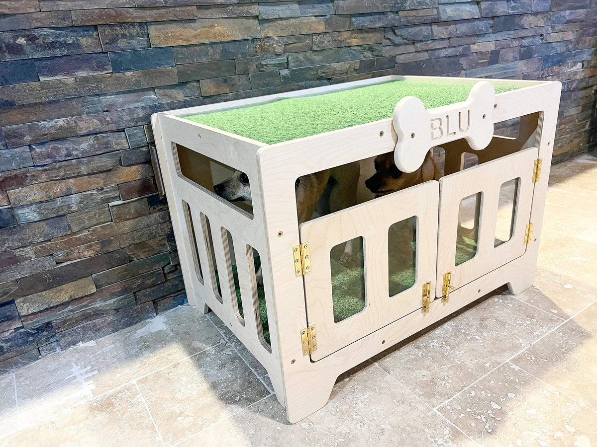 Modern Dog House | Acrylic Front Window