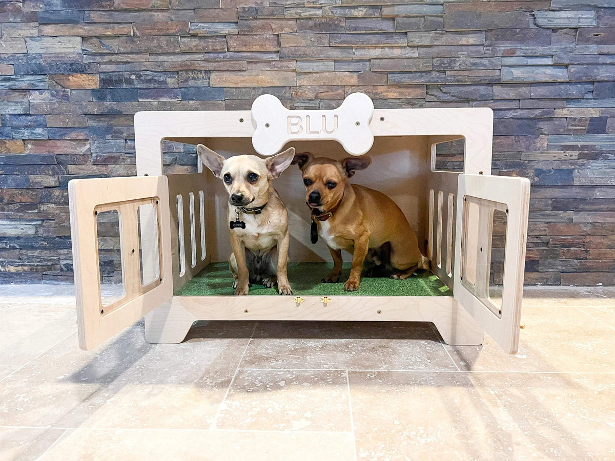 Modern Dog House | Acrylic Front Window