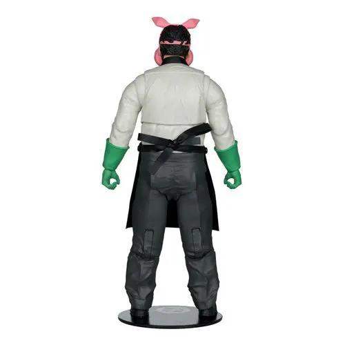 McFarlane Toys DC Collector Edition 7-Inch Scale Action Figure - Select Figure(s) - ToyShnip
