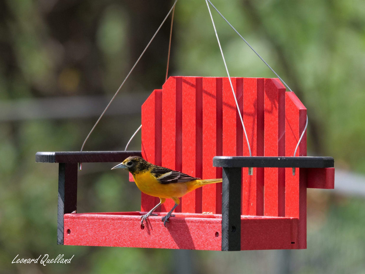 Porch Swing Bird Feeder | Recycled Poly Lumber | Hanging