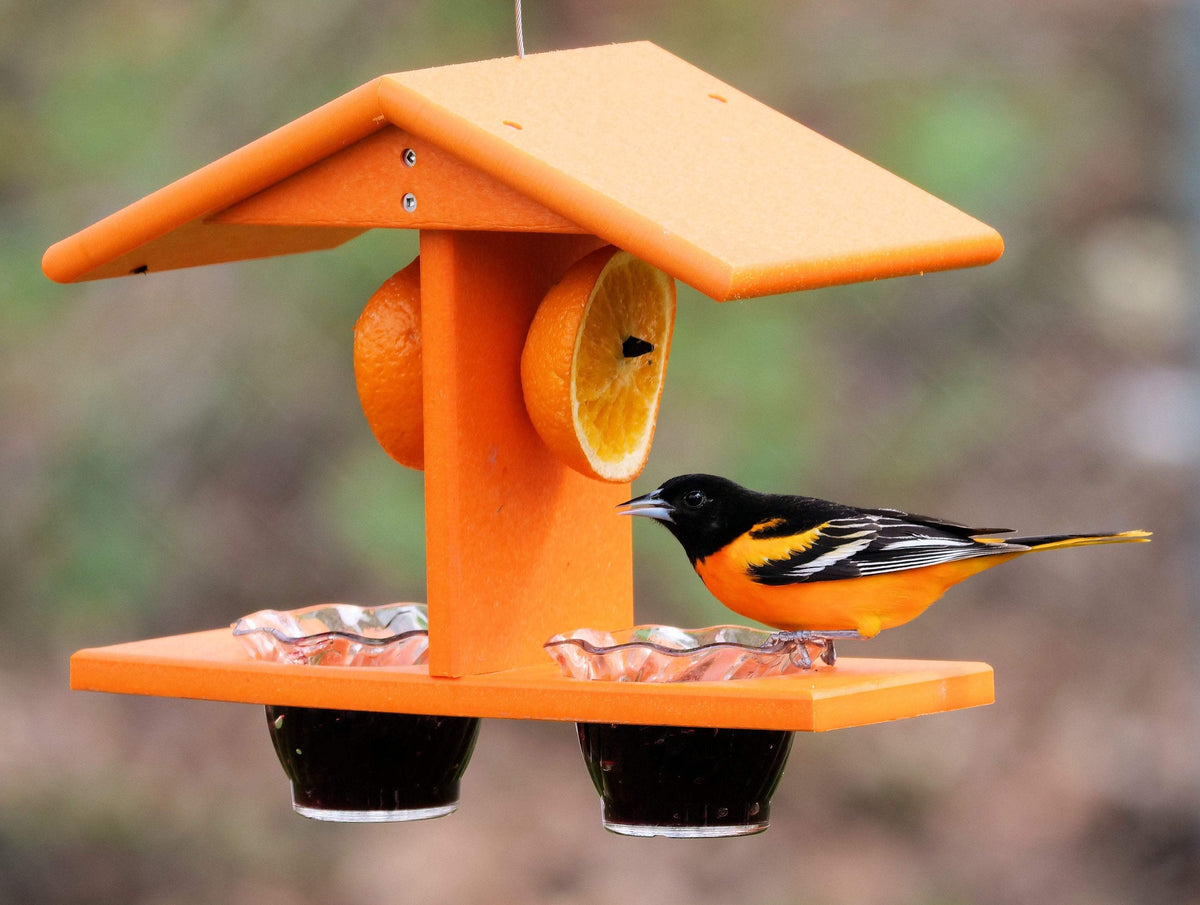 Oriole Bird Feeder | Double Cup | Recycled Poly | With Mounting Pegs