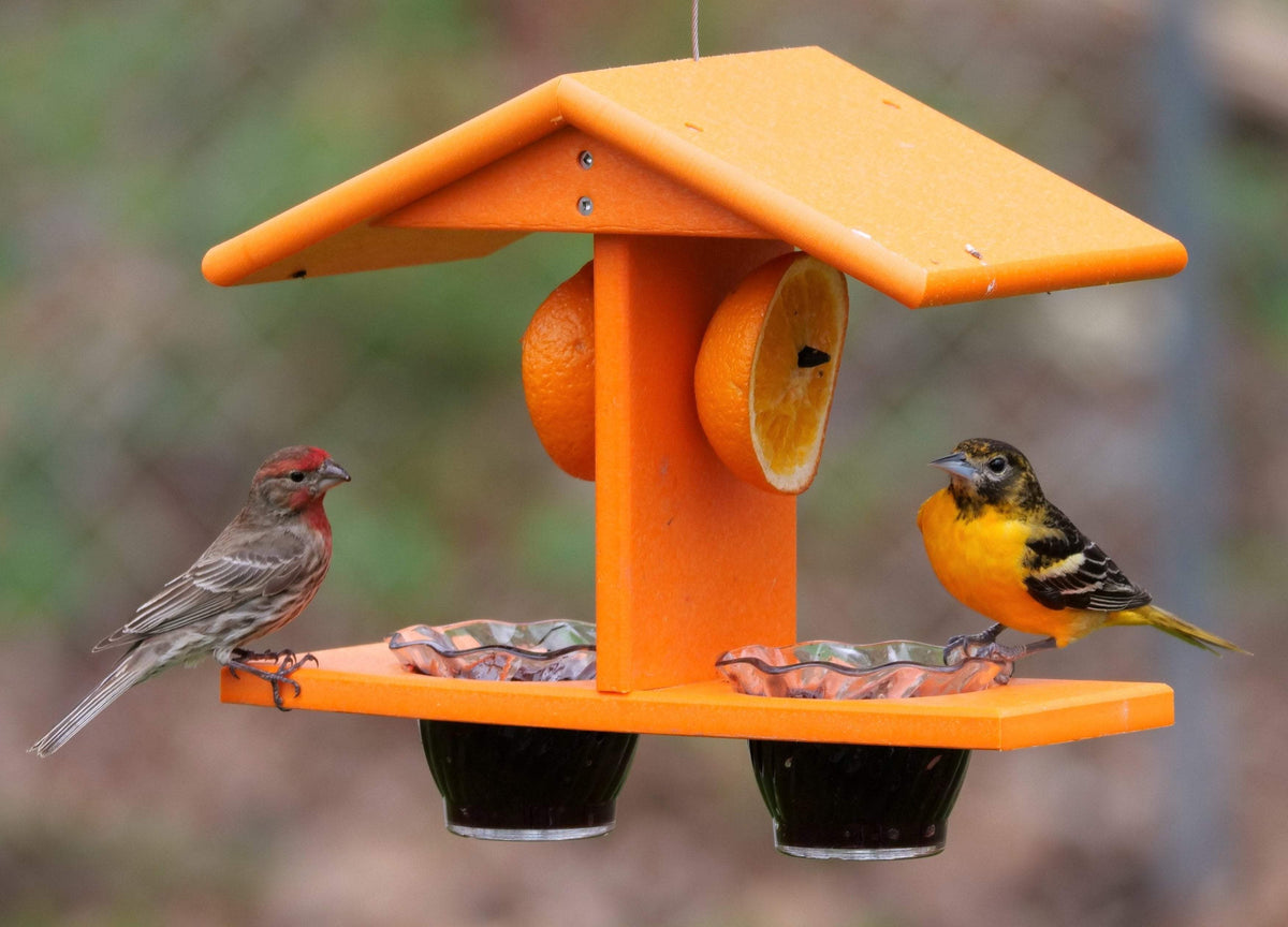 Oriole Bird Feeder | Double Cup | Recycled Poly | With Mounting Pegs