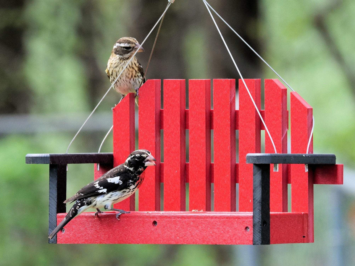 Porch Swing Bird Feeder | Recycled Poly Lumber | Hanging