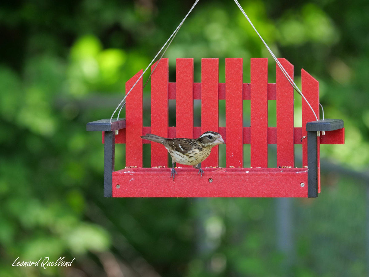 Porch Swing Bird Feeder | Recycled Poly Lumber | Hanging
