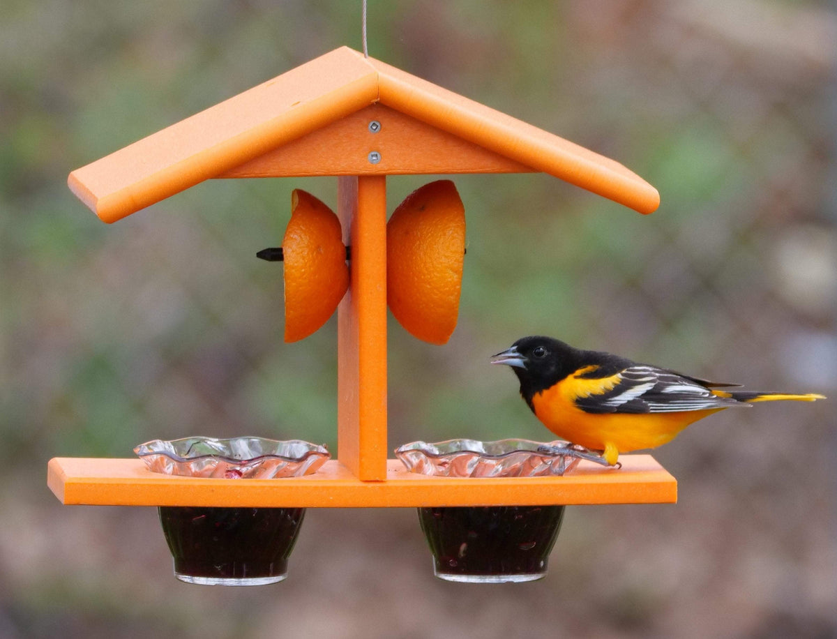 Oriole Bird Feeder | Double Cup | Recycled Poly | With Mounting Pegs