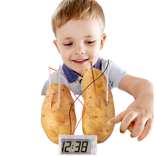 Montessori Fruit and Potato Battery Science Kit for Kids - Educational Toy - ToylandEU